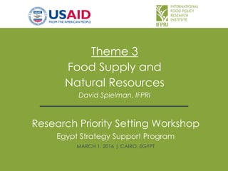 Theme 3
Food Supply and
Natural Resources
David Spielman, IFPRI
Research Priority Setting Workshop
Egypt Strategy Support Program
MARCH 1, 2016 | CAIRO, EGYPT
 
