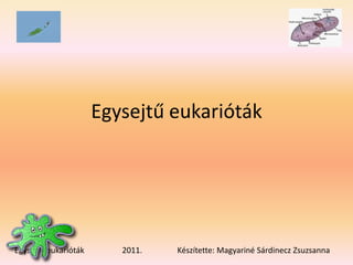 Egysejtű eukarióták 