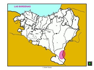 LAS BÁRDENAS 
