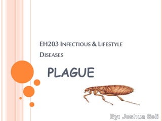 EH203 INFECTIOUS & LIFESTYLE
DISEASES
PLAGUE
 