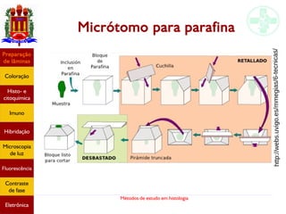 Métodos de estudo em histologia
Micrótomo para parafina
Preparação
de lâminas
Coloração
Histo- e
citoquímica
Imuno
Hibridação
Microscopia
de luz
Fluorescência
Contraste
de fase
Eletrônica
http://webs.uvigo.es/mmegias/6-tecnicas/
 