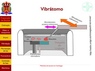 Métodos de estudo em histologia
Vibrátomo
Preparação
de lâminas
Coloração
Histo- e
citoquímica
Imuno
Hibridação
Microscopia
de luz
Fluorescência
Contraste
de fase
Eletrônica
http://webs.uvigo.es/mmegias/6-tecnicas/
 