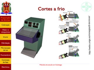 Métodos de estudo em histologia
Cortes a frio
Preparação
de lâminas
Coloração
Histo- e
citoquímica
Imuno
Hibridação
Microscopia
de luz
Fluorescência
Contraste
de fase
Eletrônica
http://webs.uvigo.es/mmegias/6-tecnicas/
 