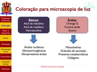 Métodos de estudo em histologia
Coloração para microscopia de luz
Básicos:
Azul de toluidina
Azul de metileno
Hematoxilina
Ácidos:
Orange G
Fucsina ácida
Eosina
Ácidos nucléicos
Glicosaminoglicanas
Glicoproteínas ácidas
Mitocôndrias
Grânulos de secreção
Proteínas citoplasmáticas
Colágeno
Preparação
de lâminas
Coloração
Histo- e
citoquímica
Imuno
Hibridação
Microscopia
de luz
Fluorescência
Contraste
de fase
Eletrônica
 