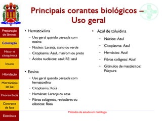 Métodos de estudo em histologia
Principais corantes biológicos –
Uso geral
Preparação
de lâminas
Coloração
Histo- e
citoquímica
Imuno
Hibridação
Microscopia
de luz
Fluorescência
Contraste
de fase
Eletrônica
●
Hematoxilina
– Uso geral quando pareada com
eosina
– Núcleo: Laranja, ciano ou verde
– Citoplasma: Azul, marrom ou preto
– Ácidos nucléicos: azul; RE: azul
●
Eosina
– Uso geral quando pareada com
hematoxilina
– Citoplasma: Rosa
– Hemácias: Laranja ou rosa
– Fibras colágenas, reticulares ou
elásticas: Rosa
●
Azul de toluidina
– Núcleo: Azul
– Citoplasma: Azul
– Hemácias: Azul
– Fibras colágeas: Azul
– Grânulos de mastócitos:
Púrpura
 