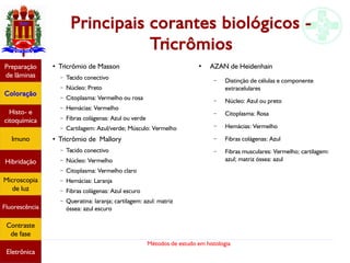 Métodos de estudo em histologia
Preparação
de lâminas
Coloração
Histo- e
citoquímica
Imuno
Hibridação
Microscopia
de luz
Fluorescência
Contraste
de fase
Eletrônica
Principais corantes biológicos -
Tricrômios
●
Tricrômio de Masson
– Tecido conectivo
– Núcleo: Preto
– Citoplasma: Vermelho ou rosa
– Hemácias: Vermelho
– Fibras colágenas: Azul ou verde
– Cartilagem: Azul/verde; Músculo: Vermelho
●
Tricrômio de Mallory
– Tecido conectivo
– Núcleo: Vermelho
– Citoplasma: Vermelho claro
– Hemácias: Laranja
– Fibras colágenas: Azul escuro
– Queratina: laranja; cartilagem: azul: matriz
óssea: azul escuro
● AZAN de Heidenhain
– Distinção de células e componente
extracelulares
– Núcleo: Azul ou preto
– Citoplasma: Rosa
– Hemácias: Vermelho
– Fibras colágenas: Azul
– Fibras musculares: Vermelho; cartilagem:
azul; matriz óssea: azul
 
