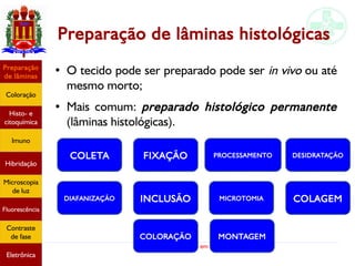 Métodos de estudo em histologia
Preparação de lâminas histológicas
Preparação
de lâminas
Coloração
Histo- e
citoquímica
Imuno
Hibridação
Microscopia
de luz
Fluorescência
Contraste
de fase
Eletrônica
●
O tecido pode ser preparado pode ser in vivo ou até
mesmo morto;
● Mais comum: preparado histológico permanente
(lâminas histológicas).
COLETA FIXAÇÃO PROCESSAMENTO DESIDRATAÇÃO
DIAFANIZAÇÃO INCLUSÃO MICROTOMIA COLAGEM
COLORAÇÃO MONTAGEM
 