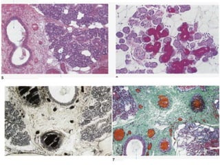 Métodos de estudo em histologia
 