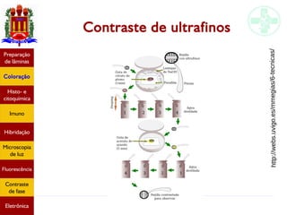 Métodos de estudo em histologia
Contraste de ultrafinos
Preparação
de lâminas
Coloração
Histo- e
citoquímica
Imuno
Hibridação
Microscopia
de luz
Fluorescência
Contraste
de fase
Eletrônica
http://webs.uvigo.es/mmegias/6-tecnicas/
 