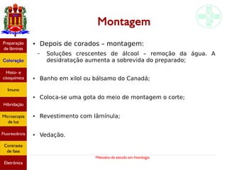 Métodos de estudo em histologia
Montagem
● Depois de corados – montagem:
– Soluções crescentes de álcool – remoção da água. A
desidratação aumenta a sobrevida do preparado;
● Banho em xilol ou bálsamo do Canadá;
● Coloca-se uma gota do meio de montagem o corte;
● Revestimento com lâmínula;
● Vedação.
Preparação
de lâminas
Coloração
Histo- e
citoquímica
Imuno
Hibridação
Microscopia
de luz
Fluorescência
Contraste
de fase
Eletrônica
 
