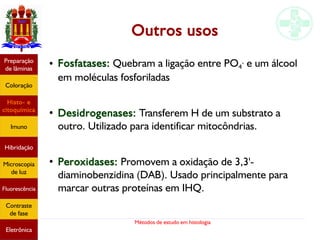Métodos de estudo em histologia
Outros usos
● Fosfatases: Quebram a ligação entre PO4
- e um álcool
em moléculas fosforiladas
●
Desidrogenases: Transferem H de um substrato a
outro. Utilizado para identificar mitocôndrias.
●
Peroxidases: Promovem a oxidação de 3,3'-
diaminobenzidina (DAB). Usado principalmente para
marcar outras proteínas em IHQ.
Preparação
de lâminas
Coloração
Histo- e
citoquímica
Imuno
Hibridação
Microscopia
de luz
Fluorescência
Contraste
de fase
Eletrônica
 