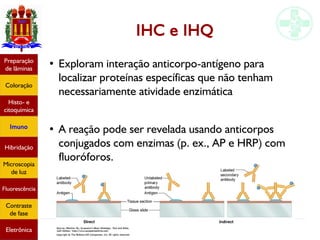 Métodos de estudo em histologia
IHC e IHQ
●
Exploram interação anticorpo-antígeno para
localizar proteínas específicas que não tenham
necessariamente atividade enzimática
●
A reação pode ser revelada usando anticorpos
conjugados com enzimas (p. ex., AP e HRP) com
fluoróforos.
Preparação
de lâminas
Coloração
Histo- e
citoquímica
Imuno
Hibridação
Microscopia
de luz
Fluorescência
Contraste
de fase
Eletrônica
 