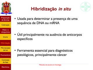 Métodos de estudo em histologia
Hibridização in situ
Preparação
de lâminas
Coloração
Histo- e
citoquímica
Imuno
Hibridação
Microscopia
de luz
Fluorescência
Contraste
de fase
Eletrônica
●
Usada para determinar a presença de uma
sequência de DNA ou mRNA
●
Útil principalmente na ausência de anticorpos
específicos
●
Ferramenta essencial para diagnósticos
patológicos, principalmente câncer
 