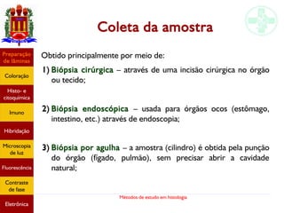 Métodos de estudo em histologia
Coleta da amostra
Obtido principalmente por meio de:
1) Biópsia cirúrgica – através de uma incisão cirúrgica no órgão
ou tecido;
2) Biópsia endoscópica – usada para órgãos ocos (estômago,
intestino, etc.) através de endoscopia;
3) Biópsia por agulha – a amostra (cilindro) é obtida pela punção
do órgão (fígado, pulmão), sem precisar abrir a cavidade
natural;
Preparação
de lâminas
Coloração
Histo- e
citoquímica
Imuno
Hibridação
Microscopia
de luz
Fluorescência
Contraste
de fase
Eletrônica
 