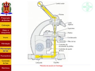 Métodos de estudo em histologia
Preparação
de lâminas
Coloração
Histo- e
citoquímica
Imuno
Hibridação
Microscopia
de luz
Fluorescência
Contraste
de fase
Eletrônica
 