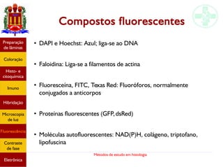 Métodos de estudo em histologia
Compostos fluorescentes
●
DAPI e Hoechst: Azul; liga-se ao DNA
●
Faloidina: Liga-se a filamentos de actina
●
Fluoresceína, FITC, Texas Red: Fluoróforos, normalmente
conjugados a anticorpos
●
Proteínas fluorescentes (GFP,dsRed)
●
Moléculas autofluorescentes: NAD(P)H, colágeno, triptofano,
lipofuscina
Preparação
de lâminas
Coloração
Histo- e
citoquímica
Imuno
Hibridação
Microscopia
de luz
Fluorescência
Contraste
de fase
Eletrônica
 