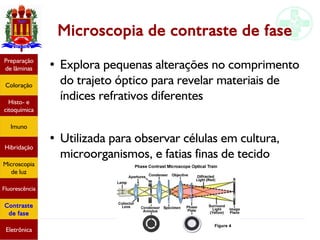 Métodos de estudo em histologia
Microscopia de contraste de fase
● Explora pequenas alterações no comprimento
do trajeto óptico para revelar materiais de
índices refrativos diferentes
●
Utilizada para observar células em cultura,
microorganismos, e fatias finas de tecido
Preparação
de lâminas
Coloração
Histo- e
citoquímica
Imuno
Hibridação
Microscopia
de luz
Fluorescência
Contraste
de fase
Eletrônica
 