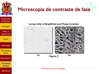 Métodos de estudo em histologia
Microscopia de contraste de fase
Preparação
de lâminas
Coloração
Histo- e
citoquímica
Imuno
Hibridação
Microscopia
de luz
Fluorescência
Contraste
de fase
Eletrônica
 