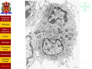 Métodos de estudo em histologia
Preparação
de lâminas
Coloração
Histo- e
citoquímica
Imuno
Hibridação
Microscopia
de luz
Fluorescência
Contraste
de fase
Eletrônica
 