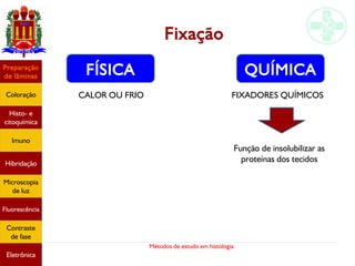 Métodos de estudo em histologia
Fixação
Preparação
de lâminas
Coloração
Histo- e
citoquímica
Imuno
Hibridação
Microscopia
de luz
Fluorescência
Contraste
de fase
Eletrônica
FÍSICA QUÍMICA
CALOR OU FRIO FIXADORES QUÍMICOS
Função de insolubilizar as
proteínas dos tecidos
 
