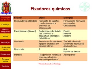 Métodos de estudo em histologia
Fixadores químicos
Fixador Efeito Exemplos
Reticuladores (aldeídos) Formação de ligações
covalentes ancora
proteinas de
citoesqueleto
Formaldeído (formalina
tamponada)
Glutaraldeído
Precipitadores (álcoois) Reduzem a solubilidade
das proteínas e
atrapalham interações
hidrofóbicas
Etanol
Metanol
Acetona
Oxidantes Permitem a formação de
ligações cruzadas em
cadeias laterais
Tetróxido de ósmio
Dicromato de potássio
Ácido crômico
Mercuriais ? B-5
Fixador de Zenker
Picratos Reagem com histonas e
proteínas alcalinas,
formando precipitado
Ácido pícrico
Preparação
de lâminas
Coloração
Histo- e
citoquímica
Imuno
Hibridação
Microscopia
de luz
Fluorescência
Contraste
de fase
Eletrônica
 