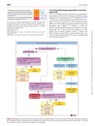 Svt Management Pdf guidelines management ventricular tachycardia.pdf