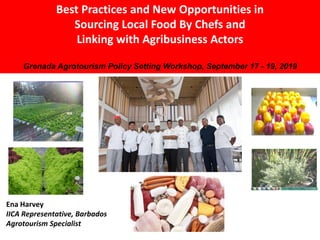 Ena Harvey
IICA Representative, Barbados
Agrotourism Specialist
Best Practices and New Opportunities in
Sourcing Local Food By Chefs and
Linking with Agribusiness Actors
Grenada Agrotourism Policy Setting Workshop, September 17 - 19, 2019
 