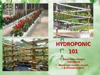 HYDROPONIC
101
• Berkenalan dengan
hidroponik
• Menanam mudah, murah,
& menyenangkan
 
