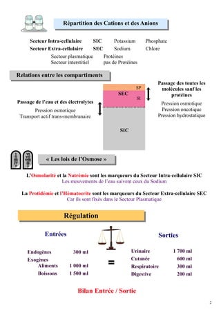Répartition des Cations et des Anions

      Secteur Intra-cellulaire      SIC      Potassium      Phosphate
      Secteur Extra-cellulaire      SEC      Sodium         Chlore
               Secteur plasmatique      Protéines
               Secteur interstitiel     pas de Protéines

Relations entre les compartiments
                                                                 Passage des toutes les
                                                       SP         molécules sauf les
                                               SEC                    protéines
                                                       SI
Passage de l’eau et des électrolytes                              Pression osmotique
       Pression osmotique                                          Pression oncotique
 Transport actif trans-membranaire                               Pression hydrostatique

                                               SIC




             « Les lois de l’Osmose »

    L’Osmolarité et la Natrémie sont les marqueurs du Secteur Intra-cellulaire SIC
                   Les mouvements de l’eau suivent ceux du Sodium

  La Protidémie et l’Hématocrite sont les marqueurs du Secteur Extra-cellulaire SEC
                      Car ils sont fixés dans le Secteur Plasmatique


                     Régulation

             Entrées                                             Sorties

    Endogènes             300 ml                     Urinaire           1 700 ml
    Exogènes                                         Cutanée              600 ml
        Aliments        1 000 ml                     Respiratoire         300 ml
        Boissons        1 500 ml                     Digestive            200 ml


                            Bilan Entrée / Sortie
                                                                                          2
 