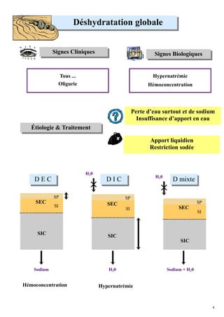 Déshydratation globale


             Signes Cliniques                              Signes Biologiques


                  Tous ...                                Hypernatrémie
                  Oligurie                              Hémoconcentration




                                                  Perte d’eau surtout et de sodium
                                                    Insuffisance d’apport en eau
   Étiologie & Traitement

                                                         Apport liquidien
                                                         Restriction sodée



                             H20
                                                           H20
    DEC                              DIC                           D mixte

             SP                              SP
     SEC                              SEC                                       SP
             SI                                                       SEC
                                             SI
                                                                                SI



     SIC                              SIC
                                                                       SIC




    Sodium                            H20                        Sodium + H20


Hémoconcentration                  Hypernatrémie


                                                                                     4
 