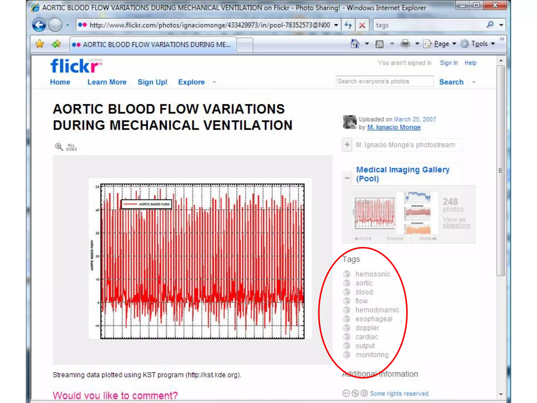 e-Health and the Social Web ("Web 2.0")/the 3-D Web: Looking to the future with sociable technologies and social software