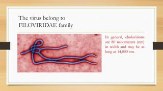 The virus belong to
FILOVIRIDAE family
In general, ebolavirions
are 80 nanometers (nm)
in width and may be as
long as 14,000 nm.
 