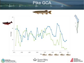 Pike GCA

 