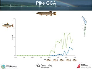 Pike GCA

 