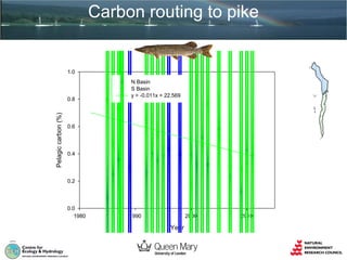 Carbon routing to pike

1.0

Pelagic carbon (%)

0.8

N Basin
S Basin
y = -0.011x + 22.569

0.6

0.4

0.2

0.0
1980

1990

2000

Year

2010

 