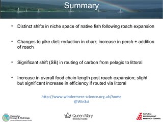 Summary
•

Distinct shifts in niche space of native fish following roach expansion

•

Changes to pike diet: reduction in charr; increase in perch + addition
of roach

•

Significant shift (SB) in routing of carbon from pelagic to littoral

•

Increase in overall food chain length post roach expansion; slight
but significant increase in efficiency if routed via littoral
http://www.windermere-science.org.uk/home
@WinSci

 