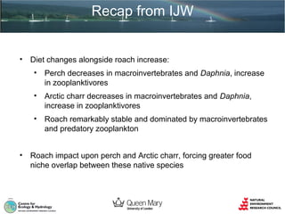 Recap from IJW

•

Diet changes alongside roach increase:
•
•

Arctic charr decreases in macroinvertebrates and Daphnia,
increase in zooplanktivores

•

•

Perch decreases in macroinvertebrates and Daphnia, increase
in zooplanktivores

Roach remarkably stable and dominated by macroinvertebrates
and predatory zooplankton

Roach impact upon perch and Arctic charr, forcing greater food
niche overlap between these native species

 