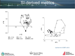 SI-derived metrics

Layman et al 2007 a & b

 