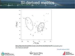 SI-derived metrics

Grey & Jackson 2012

 