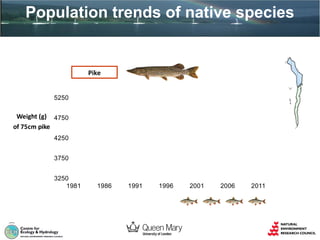 Population trends of native species

Pike
5250

Weight (g) 4750
of 75cm pike
4250
3750
3250
1981

1986

1991

1996

2001

2006

2011

 