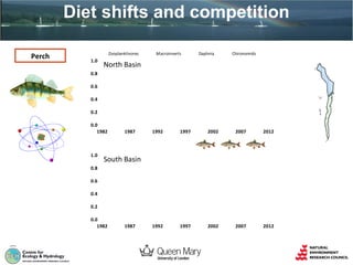 Diet shifts and competition
Perch

Zooplanktivores

1.0

Macroinverts

Daphnia

Chironomids

North Basin

0.8
0.6
0.4
0.2
0.0
1982

1987
Zooplanktivores

1.0

1992

1997

Macroinverts

2002
Daphnia

2007

2012

Chironomids

South Basin

0.8
0.6
0.4
0.2
0.0
1982

1987

1992

1997

2002

2007

2012

 