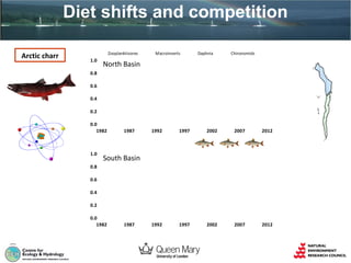 Diet shifts and competition
Arctic charr

Zooplanktivores

1.0

Macroinverts

Daphnia

Chironomids

North Basin

0.8
0.6
0.4
0.2
0.0
1982

1987
Zooplanktivores

1.0

1992

1997

Macroinverts

2002
Daphnia

2007

2012

Chironomids

South Basin

0.8
0.6
0.4
0.2
0.0
1982

1987

1992

1997

2002

2007

2012

 