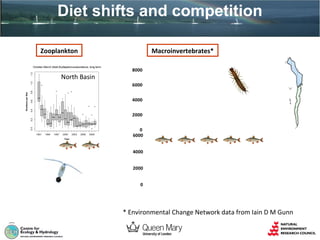 Diet shifts and competition
Zooplankton

Macroinvertebrates*

October-March Adult Eudiaptomus abundance, long-term

8000

0.8

6000

0.2

0.4

0.6

4000

0.0

Numbers per litre

1.0

1.2

North Basin

1991

1994

1997

2000
Year

2003

2006

Total
macroinverts.
caught (3 min.
kick sampling)

2009

2000
0
6000
4000
2000
0

* Environmental Change Network data from Iain D M Gunn

 