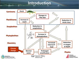 Introduction
Carnivores

Planktivores

Perch
Changes in
Pike diet
Increase in
roach
Reduction in
zooplankton

Zooplankton

Increase in

Phytoplankton

phytoplankton
Increased
internal Pload

Chemistry
Climate
change

Reduction in
Arctic charr

Warmer
water

Prolonged
stratification

Reduction
in oxygen
at depth

Physics

 