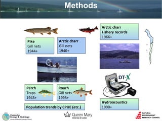 Methods

Pike
Gill nets
1944+

Arctic charr
Gill nets
1940+

Perch
Traps
1943+

Roach
Gill nets
1995+

Population trends by CPUE (etc.)

Arctic charr
Fishery records
1966+

Hydroacoustics
1990+

 