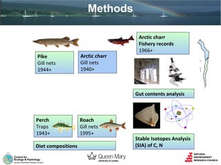 Methods

Pike
Gill nets
1944+

Arctic charr
Gill nets
1940+

Arctic charr
Fishery records
1966+

Gut contents analysis

Perch
Traps
1943+
Diet compositions

Roach
Gill nets
1995+

Stable Isotopes Analysis
(SIA) of C, N

 