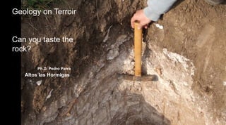 Geology on Terroir
Can you taste the
rock?
Ph.D. Pedro Parra
Altos las Hormigas
 