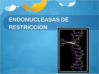 ENDONUCLEASAS DE
RESTRICCION
 