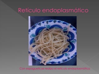 Con espaguetis se realiza el retículo endoplasmático
 