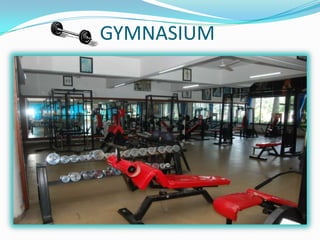 GYMNASIUM
 